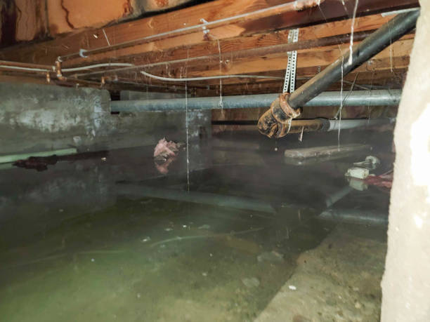 Fire Damage Restoration in NM