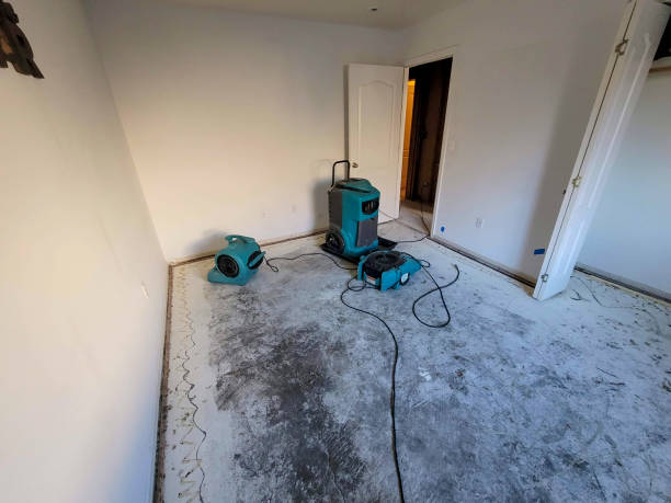 Best Residential water damage restoration  in Mountainair, NM
