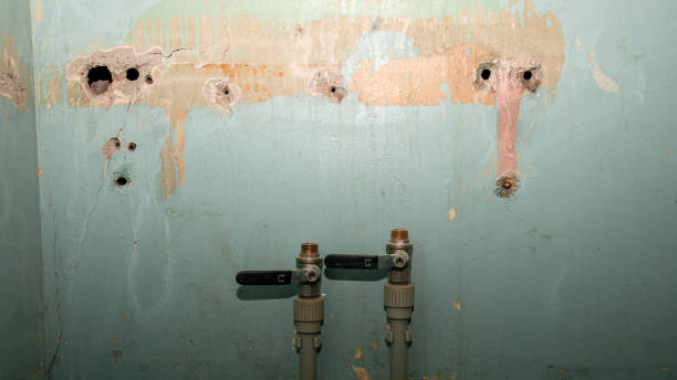 Best 24-hour water damage restoration  in Mountainair, NM