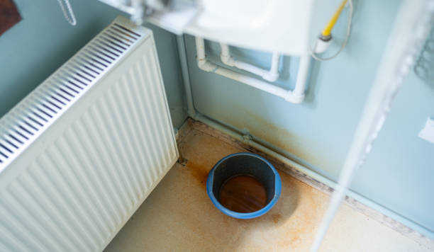 Best Water damage restoration specialists  in Mountainair, NM