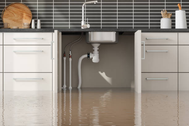 Best Local water damage restoration  in Mountainair, NM