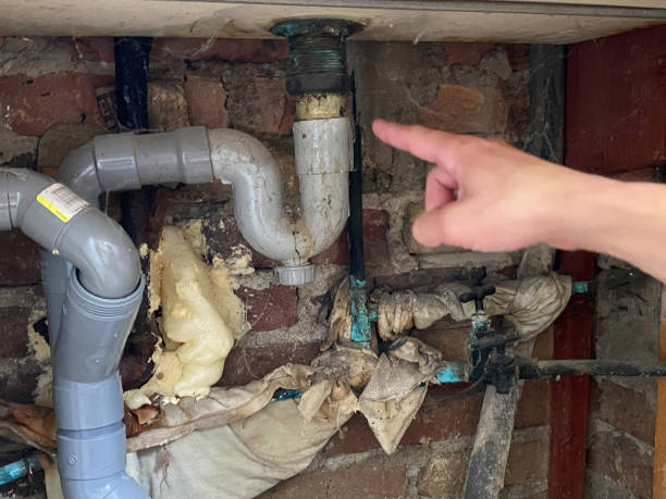 Best Water damage restoration near me  in Mountainair, NM