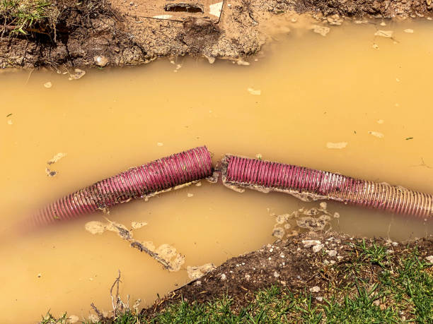 Best 24-hour water damage restoration  in Mountainair, NM
